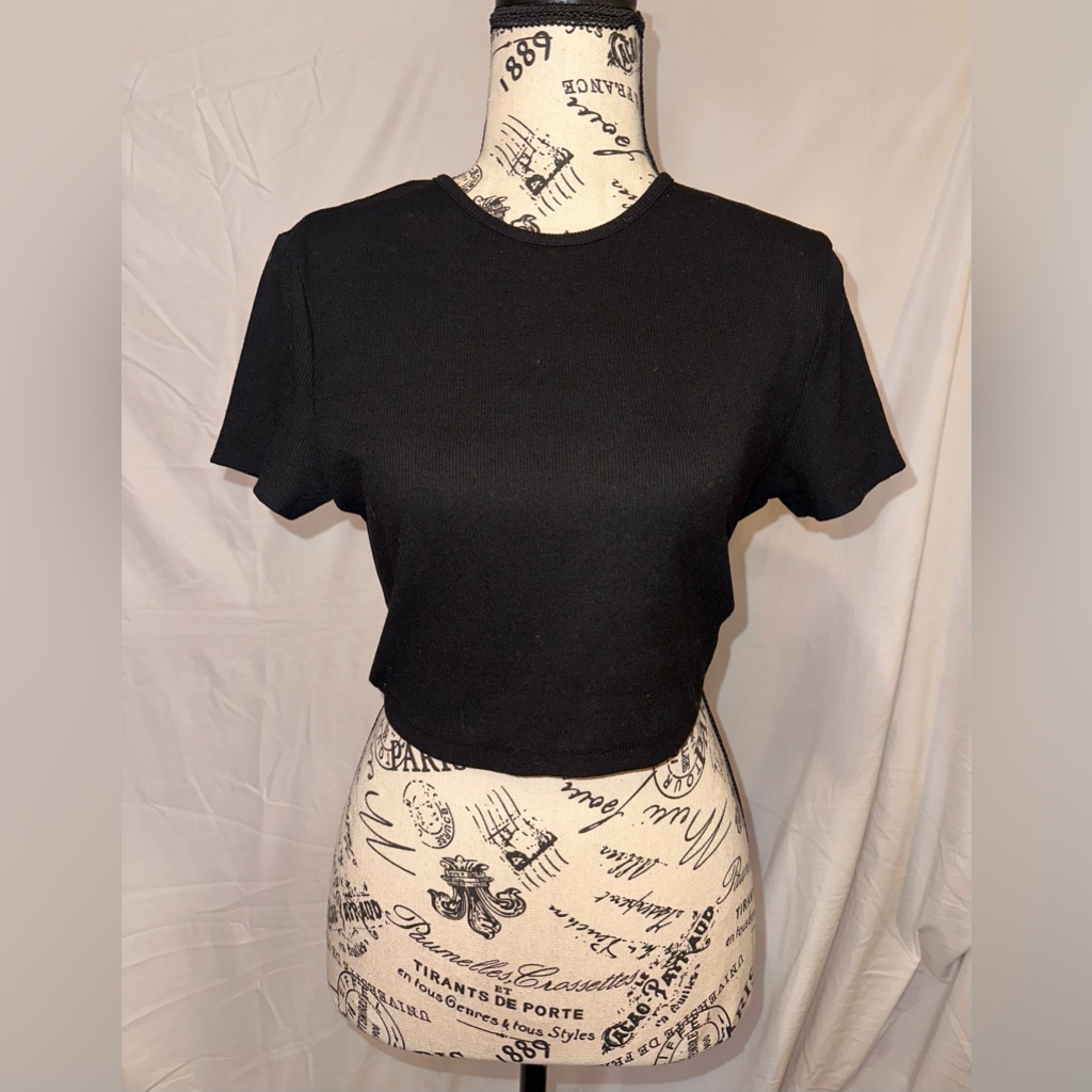 Black Solid Fitted Crop Top